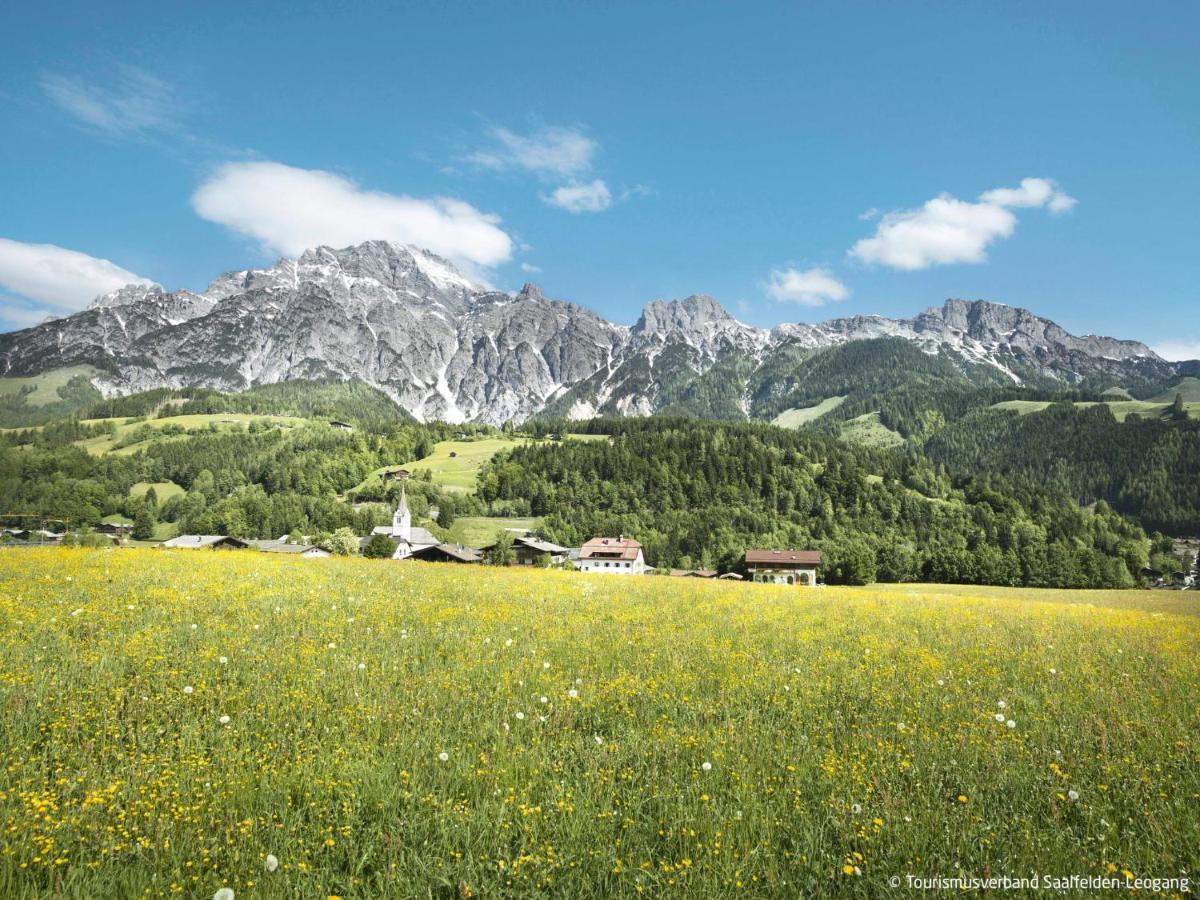 Apartment Kitzsteinhorn By Interhome Зальфельден Экстерьер фото